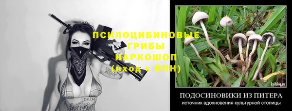 хмурый Гусиноозёрск