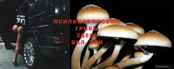 прущие крисы Гусев