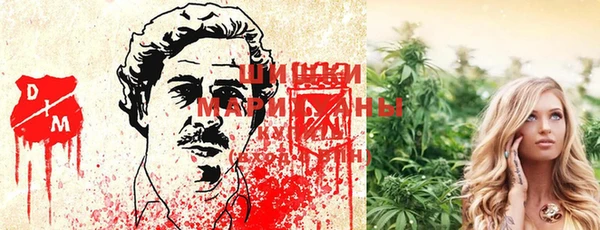 прущие крисы Гусев