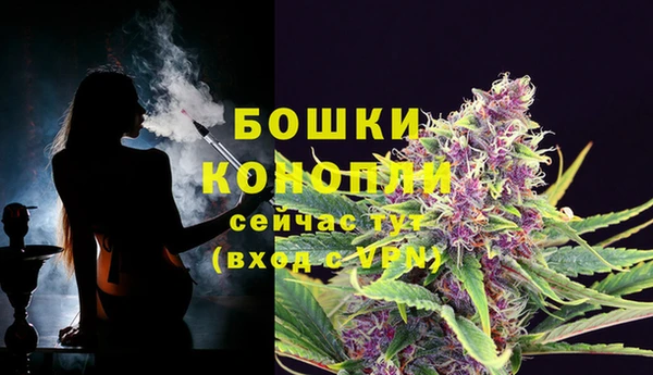 прущие крисы Гусев
