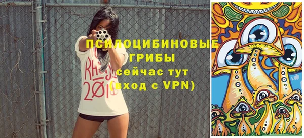 прущие крисы Гусев